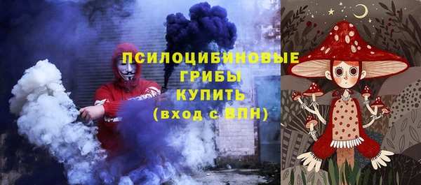 соль ск Армянск