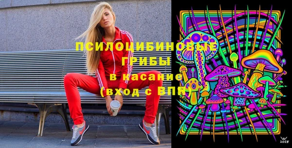 тгк Аркадак