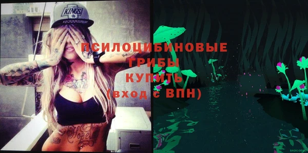 тгк Аркадак